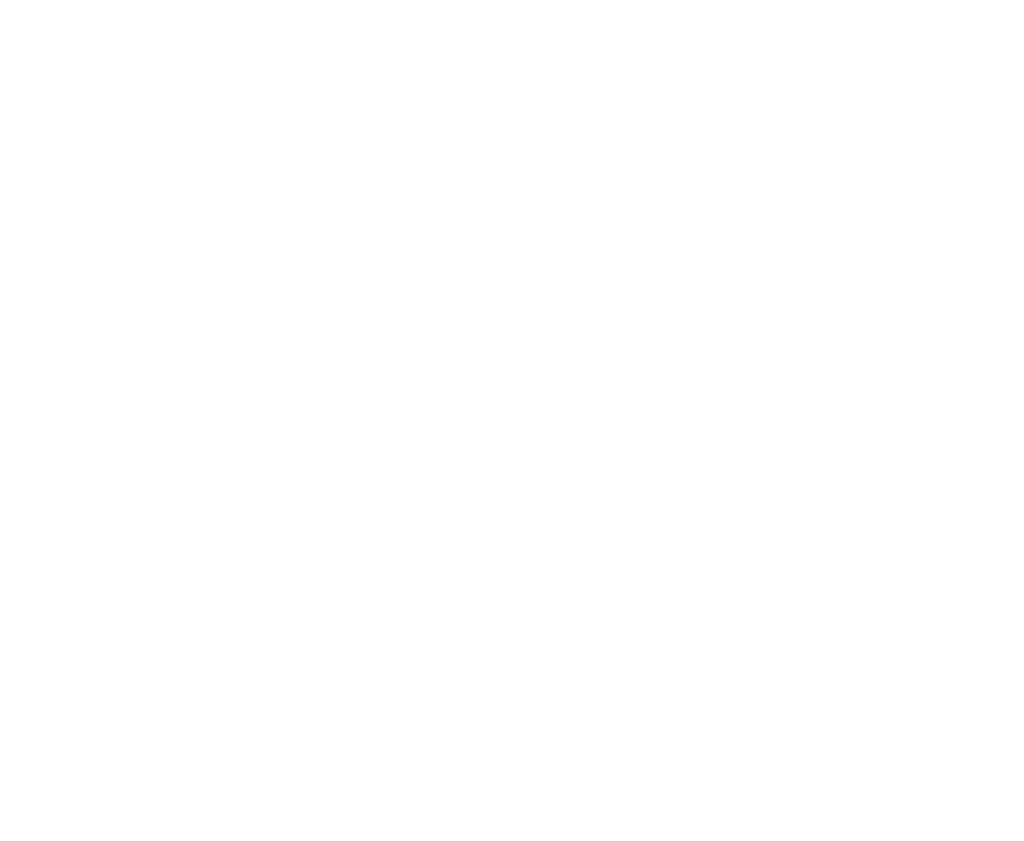 logo rodapé